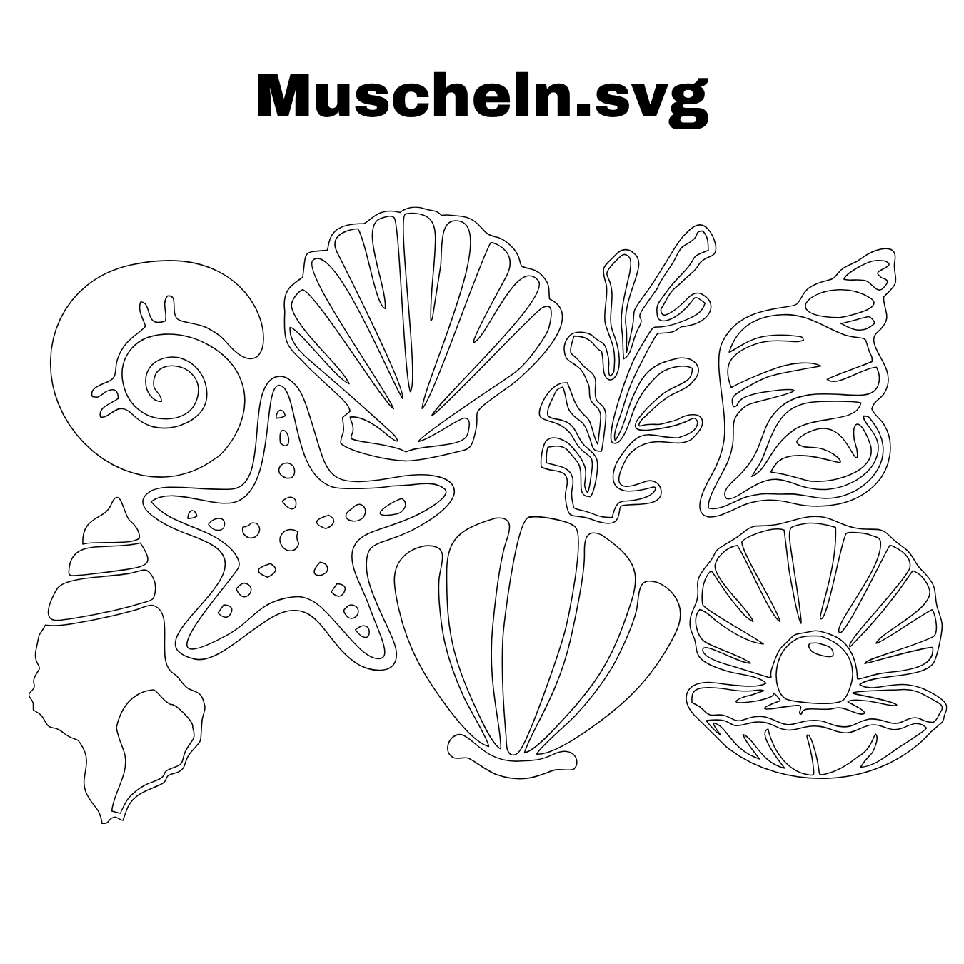 Plotterdatei Muscheln